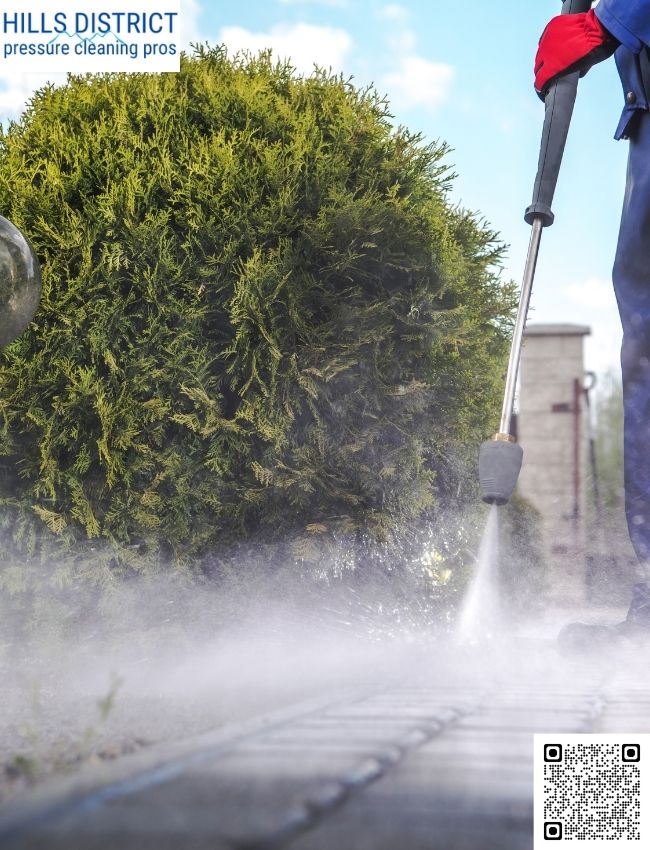 How does pressure cleaning prevent mold buildup?