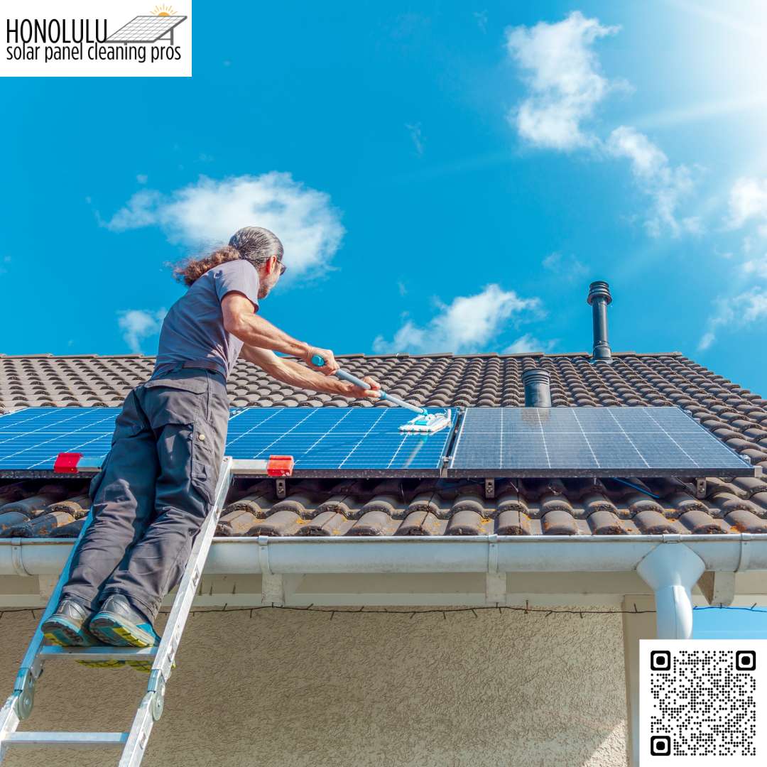 How does bird droppings affect solar panel efficiency?