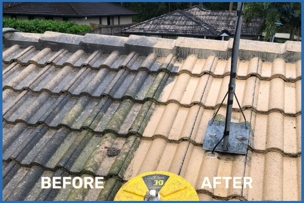 Keep Your Solar Panels Clean with Bundaberg Pressure Cleaning