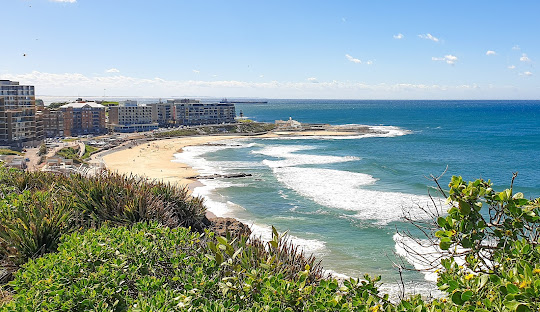 Newcastle's Political Landscape: A Stronghold for Labor with Shifting Dynamics