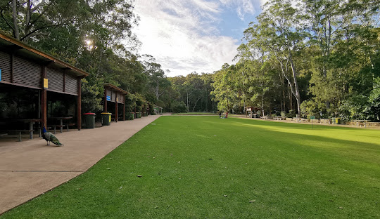 Newcastle's Geography: A Blend of Natural Beauty and Urban Expansion